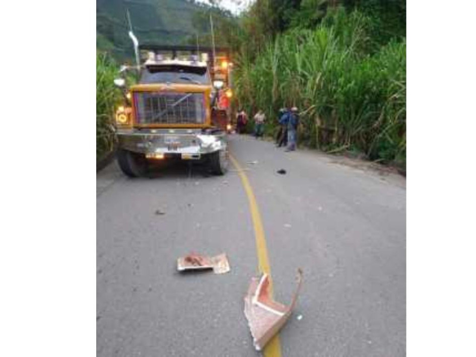 La Fiscalía reconstruirá los hechos de un accidente en la vía Neira - Aranzazu. 