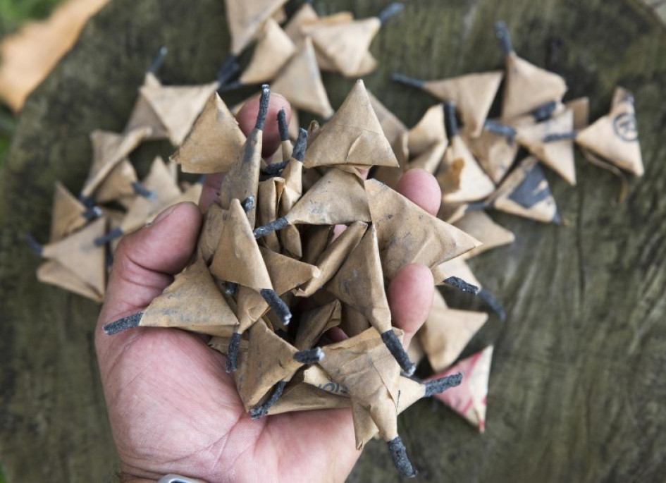 Papeleta de pólvora