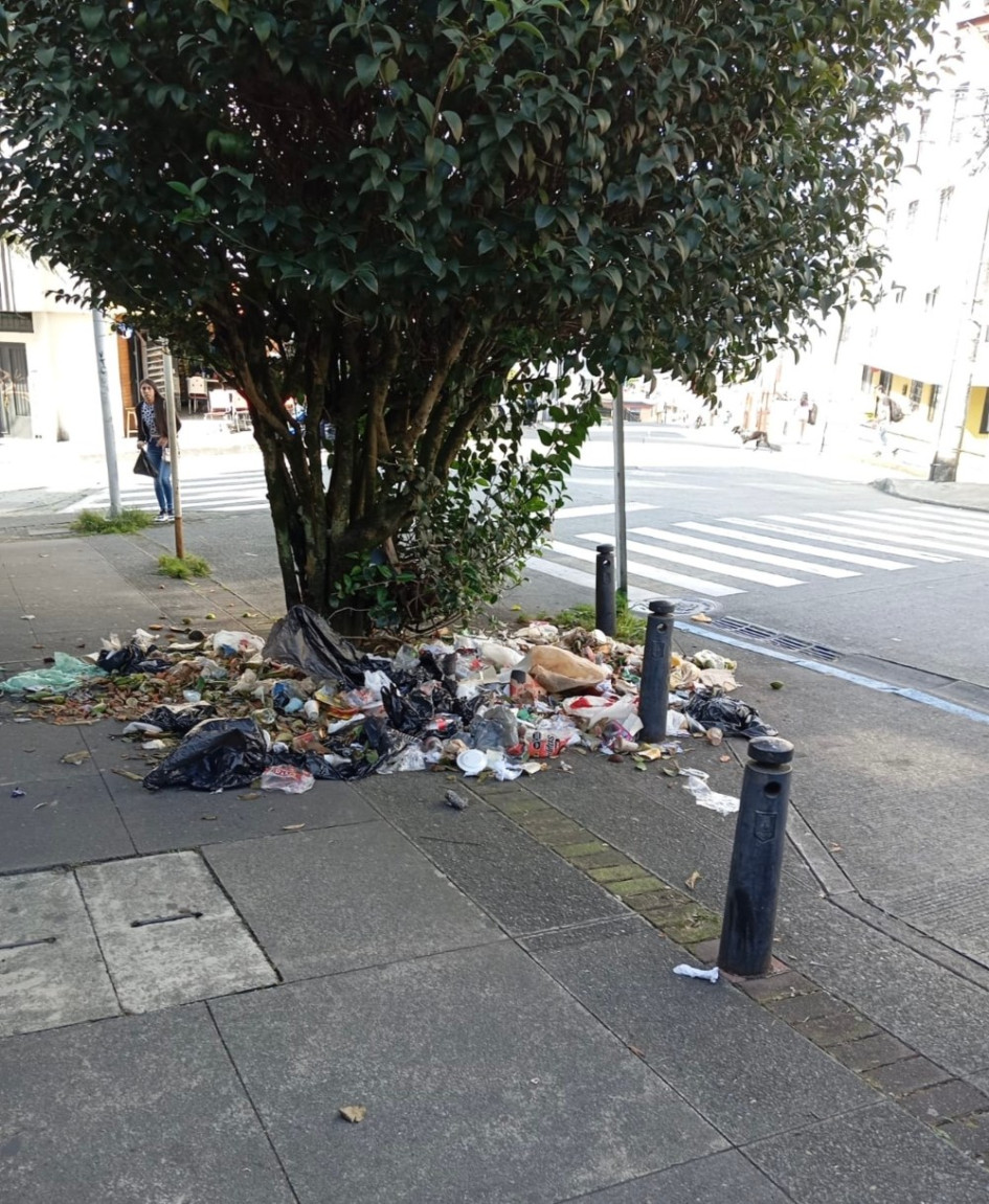 Basura bajo un árbol