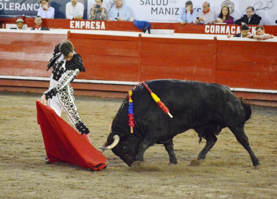 Se debe esperar la decisión de la Corte Constitucional para saber que va a pasar con las corridas de toros. 