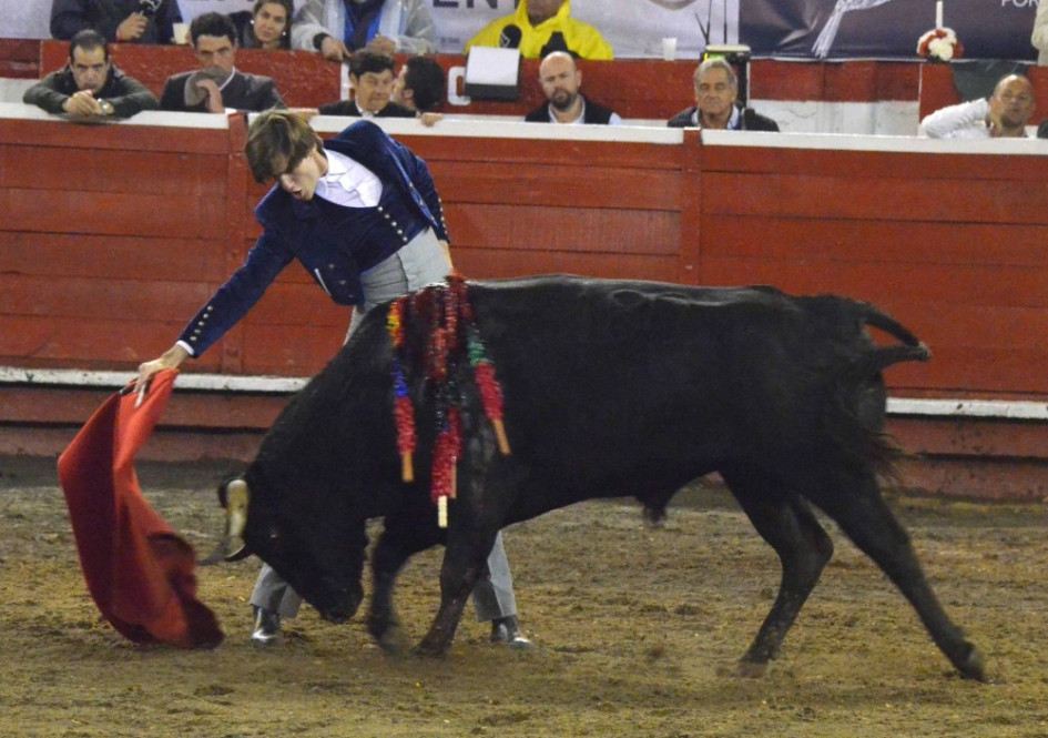 Felipe Miguel Negret le ejecuta un derechazo al novillo de la ganadería Ernesto Gutiérrez. 