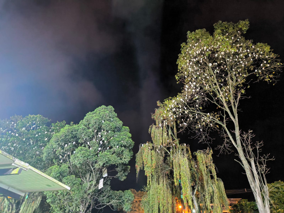 Foto | Cortesía | LA PATRIA Según habitantes de Neira, esta es una problemática que lleva más de 8 años.