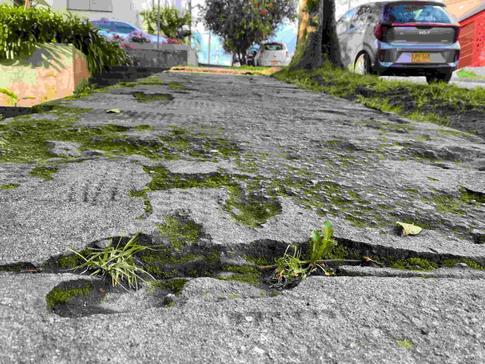 Foto | LA PATRIA Maleza comienza a crecer en las grietas del asfalto.