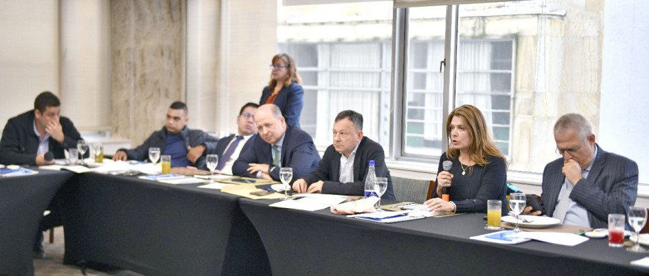 La congresista caldense Juana Carolina Londoño forma parte de la comisión de conciliación de la reforma de los estatutos del Partido Conservador Colombiano.