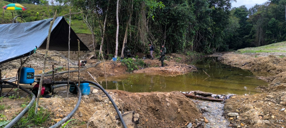 Los delincuentes afectaron una amplia zona de bosque en Norcasia.