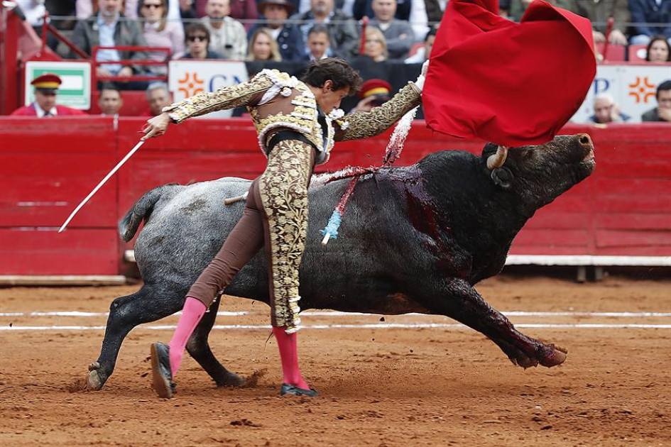 El torero peruano Andrés Roca Rey lidia al toro 'Gamucita' de 496 kg, este lunes en la Plaza de Toros México.