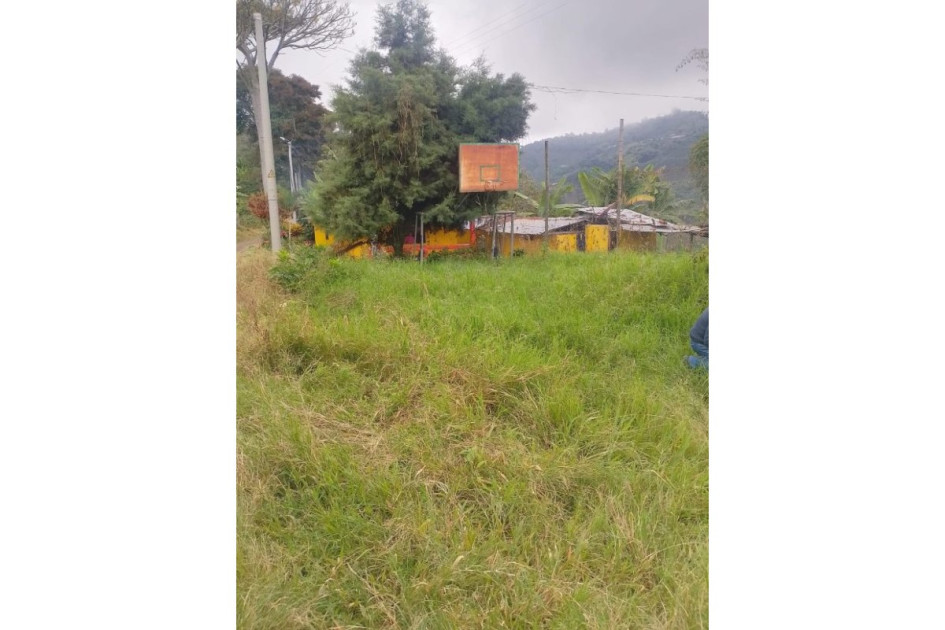 Monte en vez de cancha. Así está el espacio recreativo y deportivo que por años habían utilizado habitantes de la vereda La Pola, jurisdicción de Manizales. La Acción Comunal gestionará permiso ante el propietario con el propósito de programar un convite y limpiar el escenario.