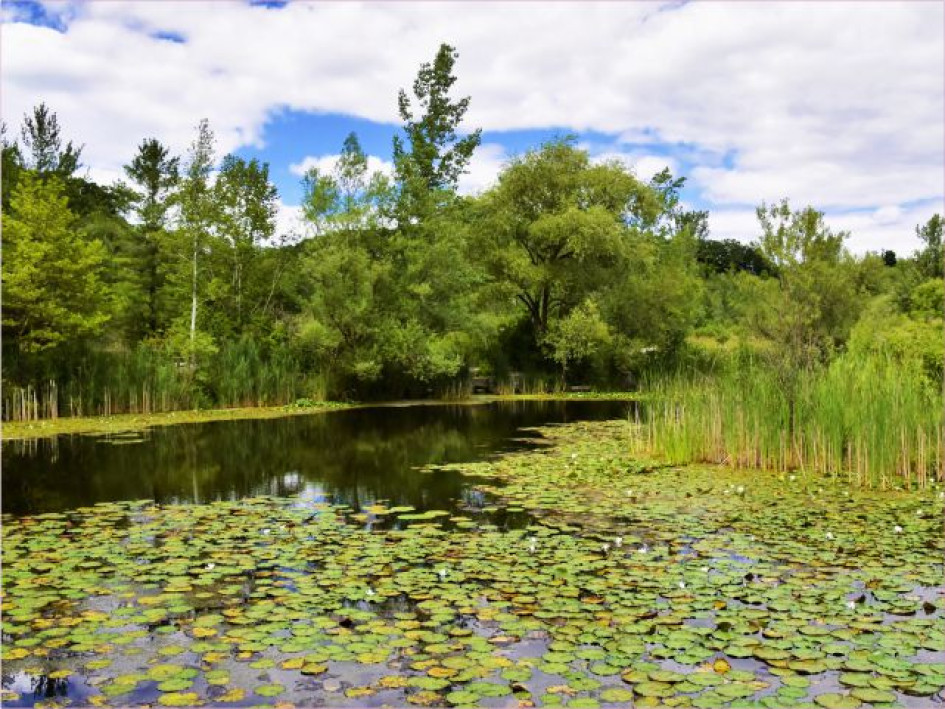 Según el Ministerio de Ambiente, en Colombia hay cerca de 48.000 humedales.