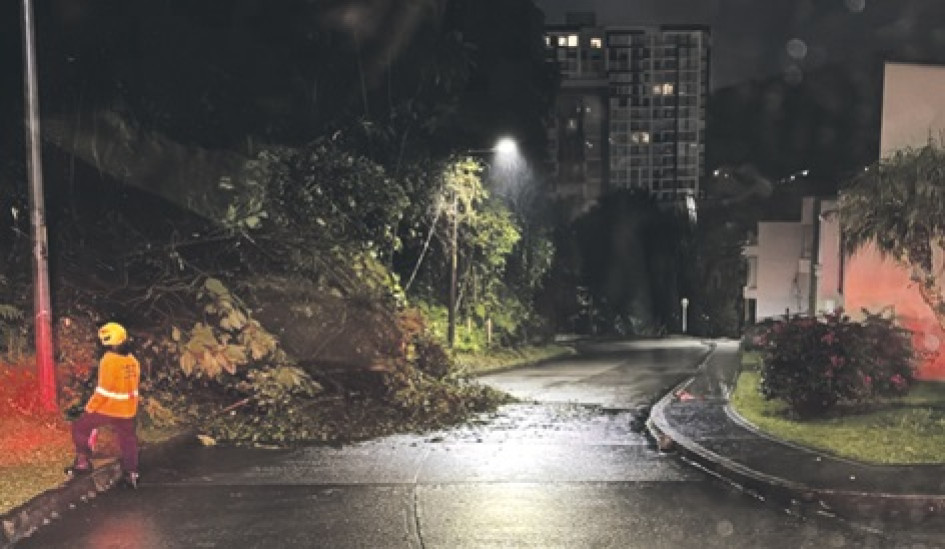 Foto | Alcaldía de Manizales | LA PATRIA Pequeño deslizamiento en el barrio Laureles en la noche del sábado