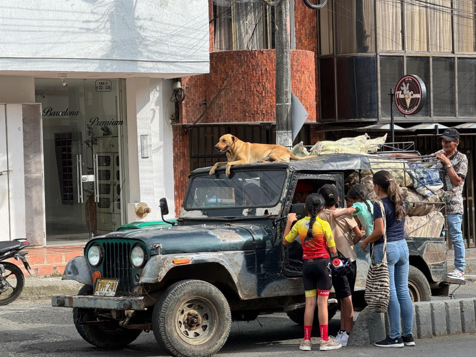 El perro sobre el capacete de un campero en Anserma (Caldas).