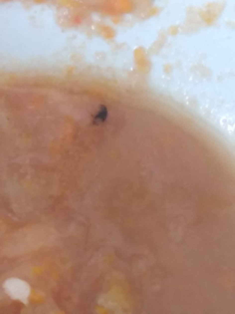 Esta foto, dicen diputados de Caldas, está circulando en whatsapp. Supuestamente es del restaurante escolar de un colegio de Pensilvania, municipio del oriente caldense