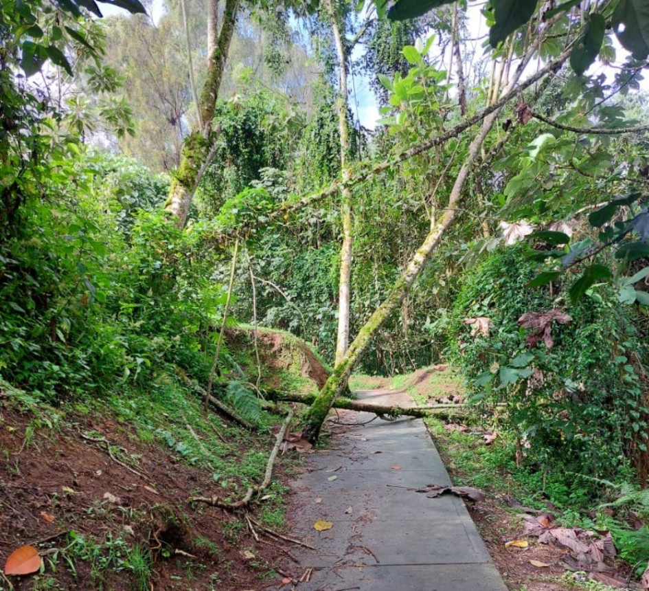 Foto | Cortesía | LA PATRIA Este es el único paso que hay hacia un parque que queda detrás de la parroquia.