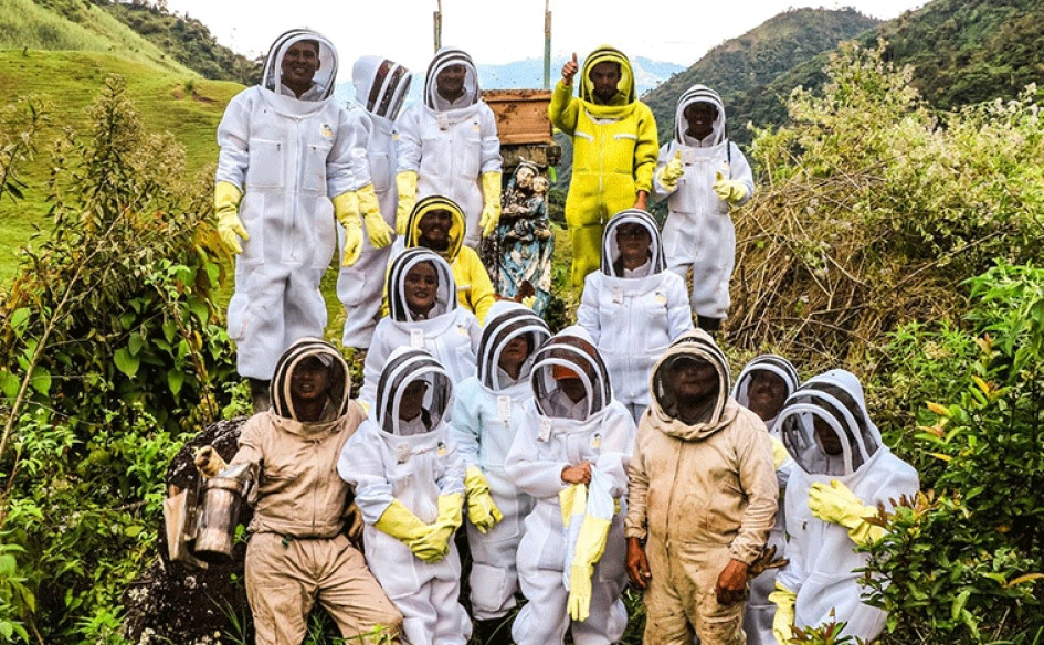 Miella es un proyecto que busca fortalecer la apicultura en un municipio de Caldas. Ofrece cinco productos estrella hechos con miel. 