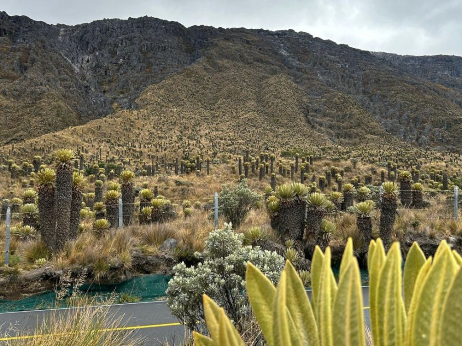 Así se vivió el tenso encuentro en Manizales entre autoridades ambientales y voceros de la comunidad que vive en el PNN Los Nevados. Estos son los reclamos por cercos en predios que reclaman como privados y por el pico y placa en la ruta Manizales-Murillo.