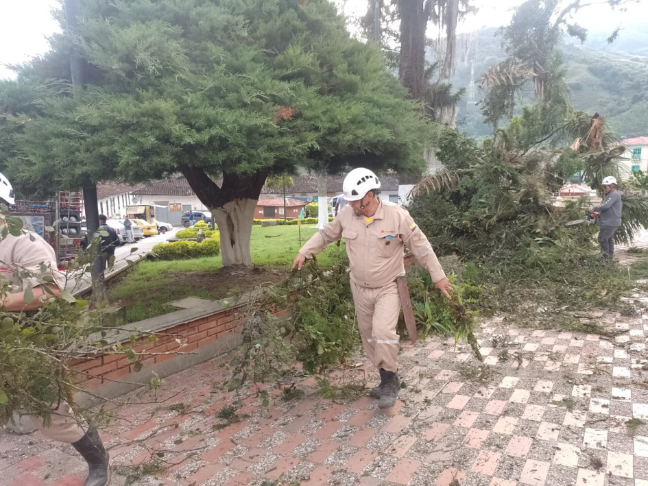 Los bomberos retiraron el árbol desplomado en el parque de Pácora.
