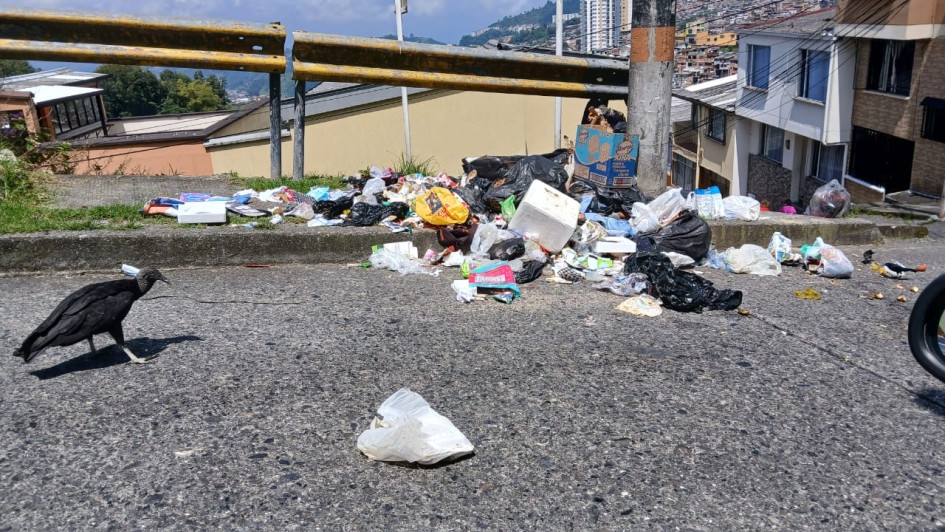 Foto | Cortesía | LA PATRIA  Los animales carroñeros ahora están rondando el sector.