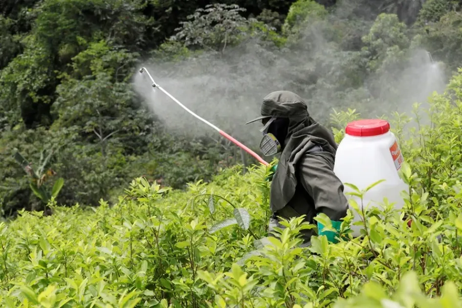 Un miembro de la Policía de Colombia mientras fumiga un cultivo de coca. 
