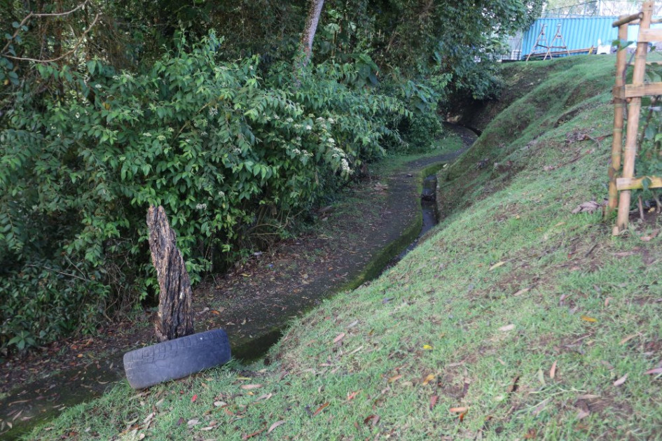 Foto | Luis Fernando Trejos | LA PATRIA  Los senderos recorren los alrededores del parque y pasan por detrás de las canchas.