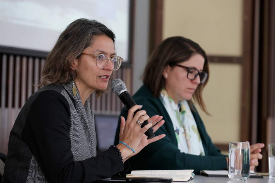La investigadora del Centro de Estudios sobre Seguridad y Drogas (CESED), Maria Alejandra Vélez, habla durante una rueda de prensa este miércoles, en Bogotá (Colombia).