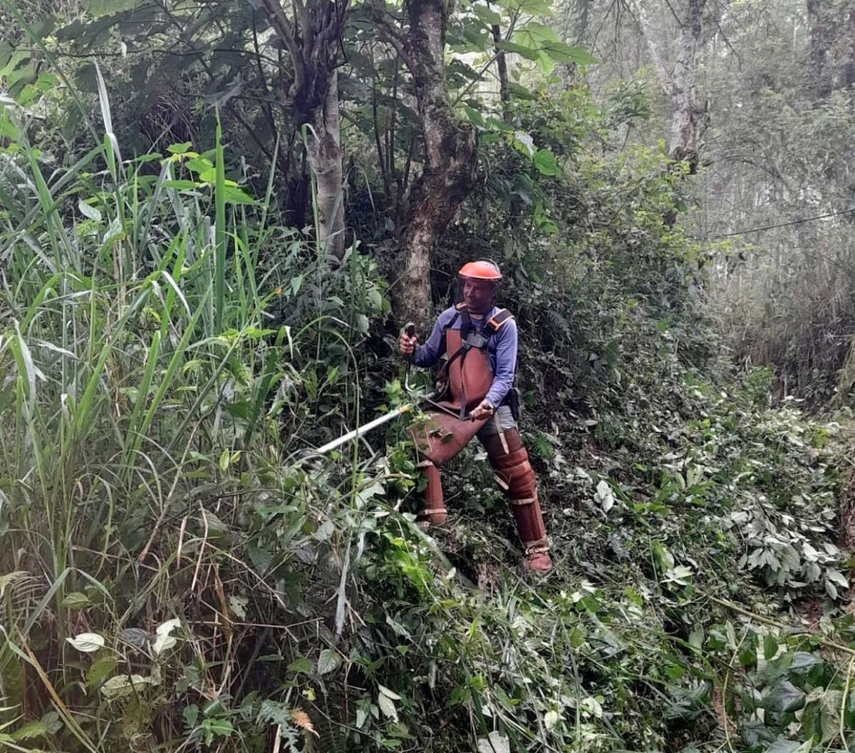 En Salamina están adecuando los caminos de herradura. 