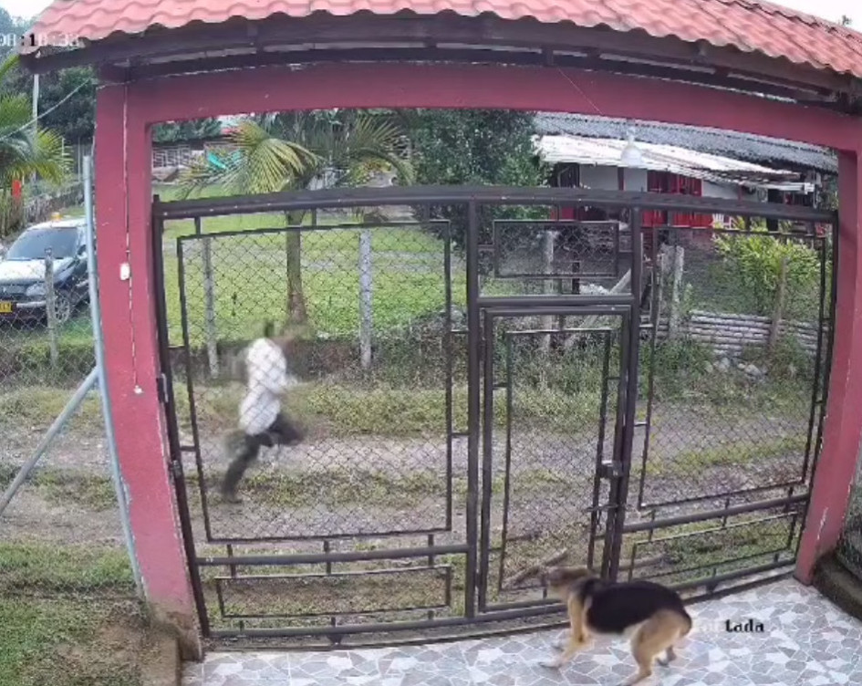 Videos de cámaras de seguridad captaron al señalado violador durante la persecución.