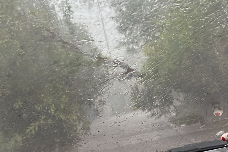 Lluvias causaron inundaciones y árboles caídos en Pereira y Dosquebradas 