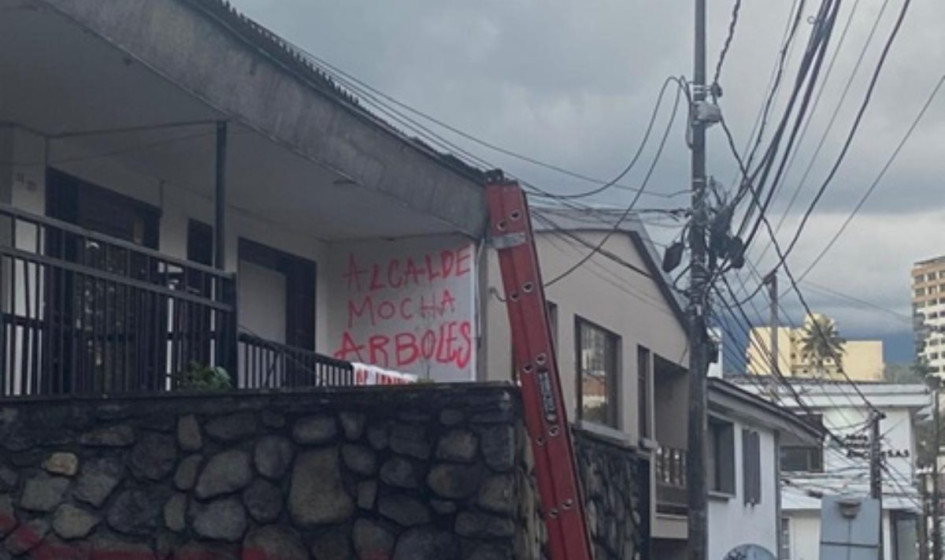 alcalde mocha árboles