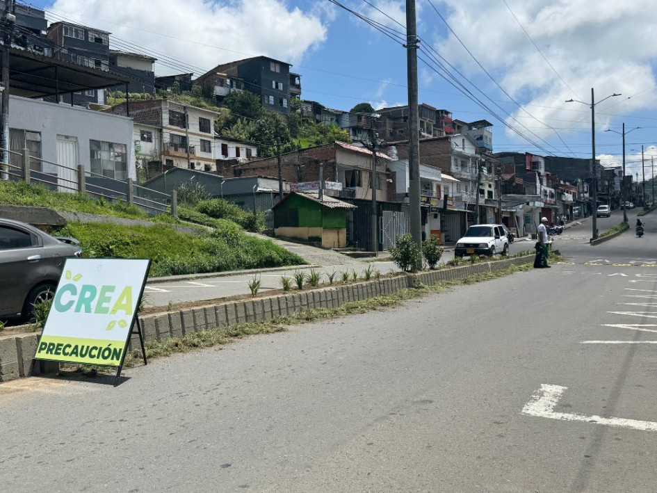 Aunque la empresa CREA esta sembrando plantas de jardín, muchas de estas se han ido desapareciendo en varios tramos.