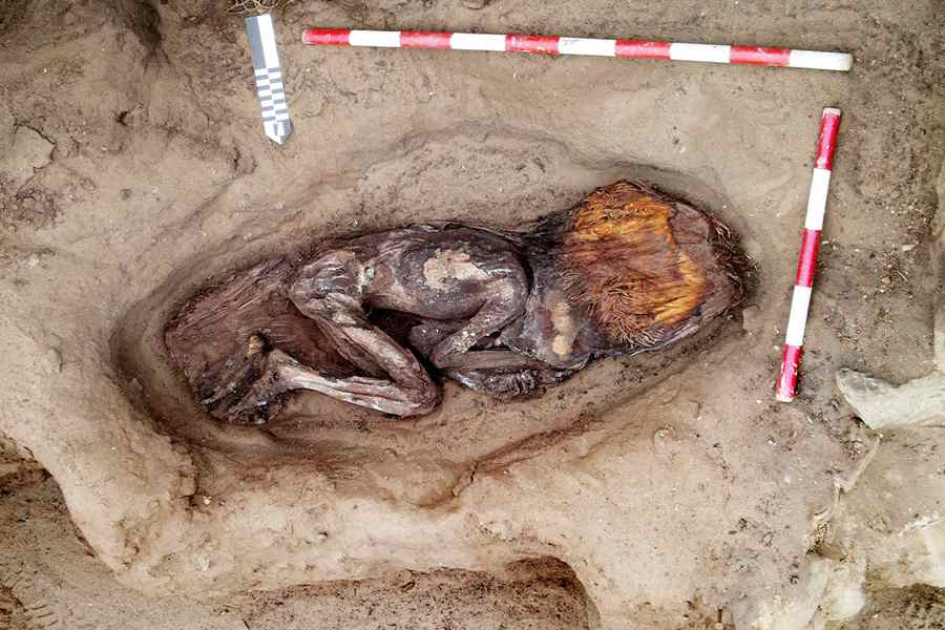 Zona Arqueológica Caral