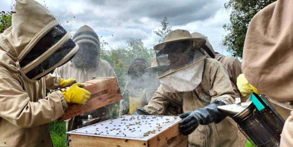 Iniciativa ambiental en zonas rurales, mediante la apicultura sostenible en Manizales