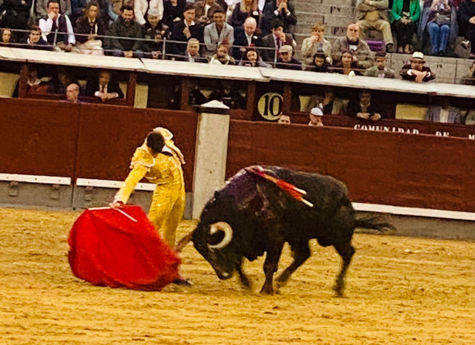 Alejandro Chicharro confirmó alternativa este jueves en Madrid. Aquí, ante su primer enemigo.