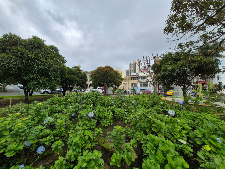 El proyecto de mejora de La Estrella tiene un segundo aire. La Alcaldía y representantes del barrio llegan a acuerdos para convertir un plan resistido en un impulso a la gastronomía de la zona. Vea las ocho obras que se harían en el sector y las cuatro que se despiden de la propuesta.
