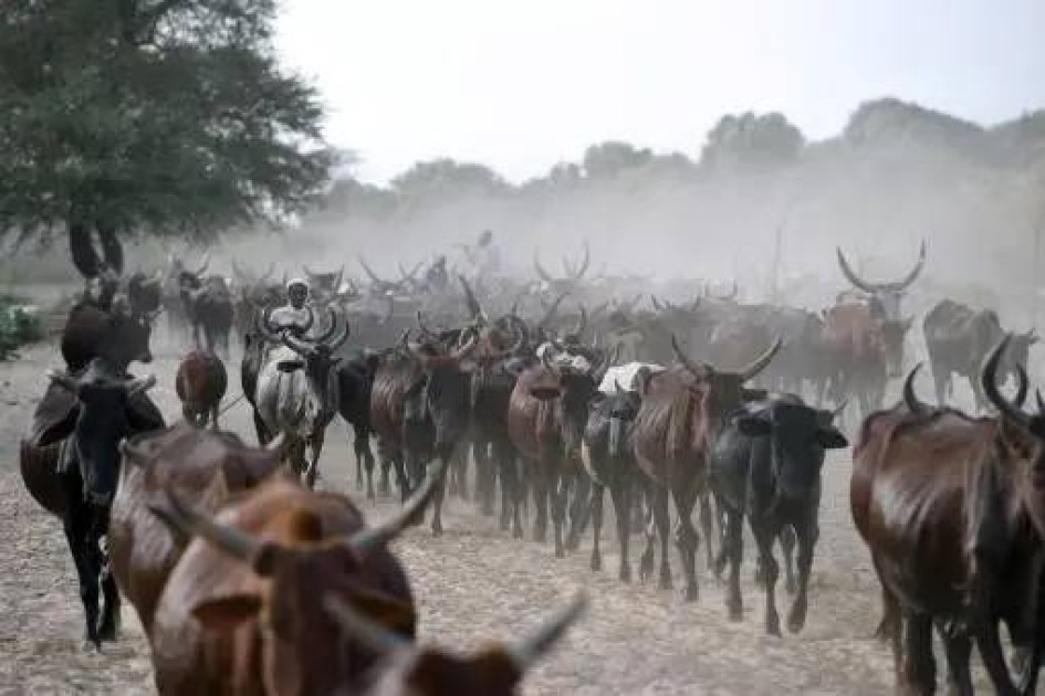Ganadores junto a sus rebaños cerca del lago Chad. 