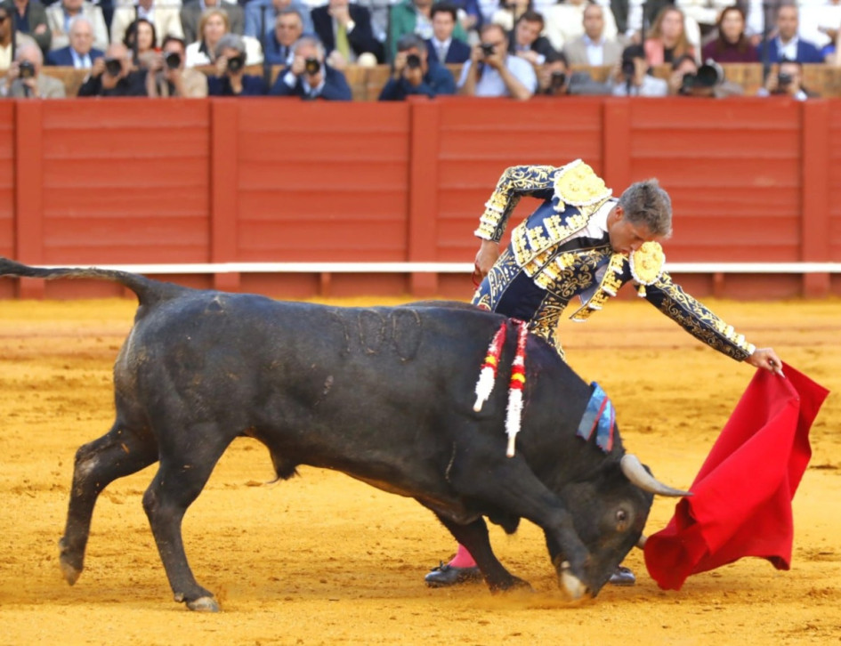 Manuel Escribano, en la lidia a 'Mosquetón', extraordinario ejemplar del hierro de Victorino, al que le cortó las dos orejas el sábado pasado en Sevilla.