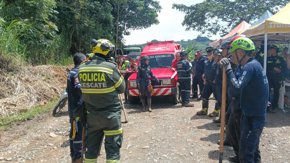 Organismos que participaron