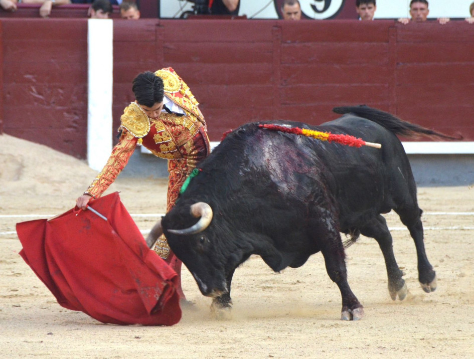 Muletazo de Marco Pérez, quien ayer se fue ovacionado de Las Ventas de Madrid, tras su encerrona en la que no obtuvo trofeos.