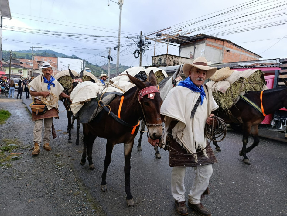 Iniciada en Abejorral (Antioquia) y con destino en Salamina (Caldas), la mulada 'Travesía en Mulas y Arriería Vicente Fermín López Buitrago' llegó este jueves a Aguadas.