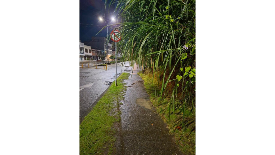 El andén con maleza detrás de la ENAE.