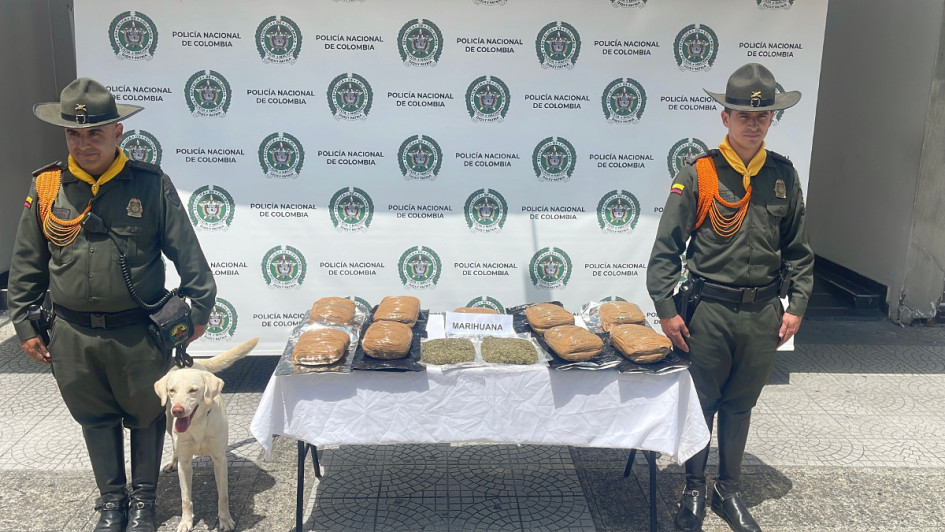 En el más reciente golpe, Axel detectó la droga proveniente de Cali, con destino a Manizales.