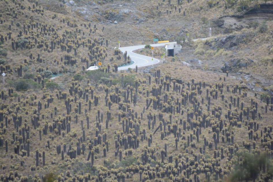 La restricción aplica todo el día y se inicia desde el sector de La Esperanza (Manizales) hasta Murillo (Tolima),
