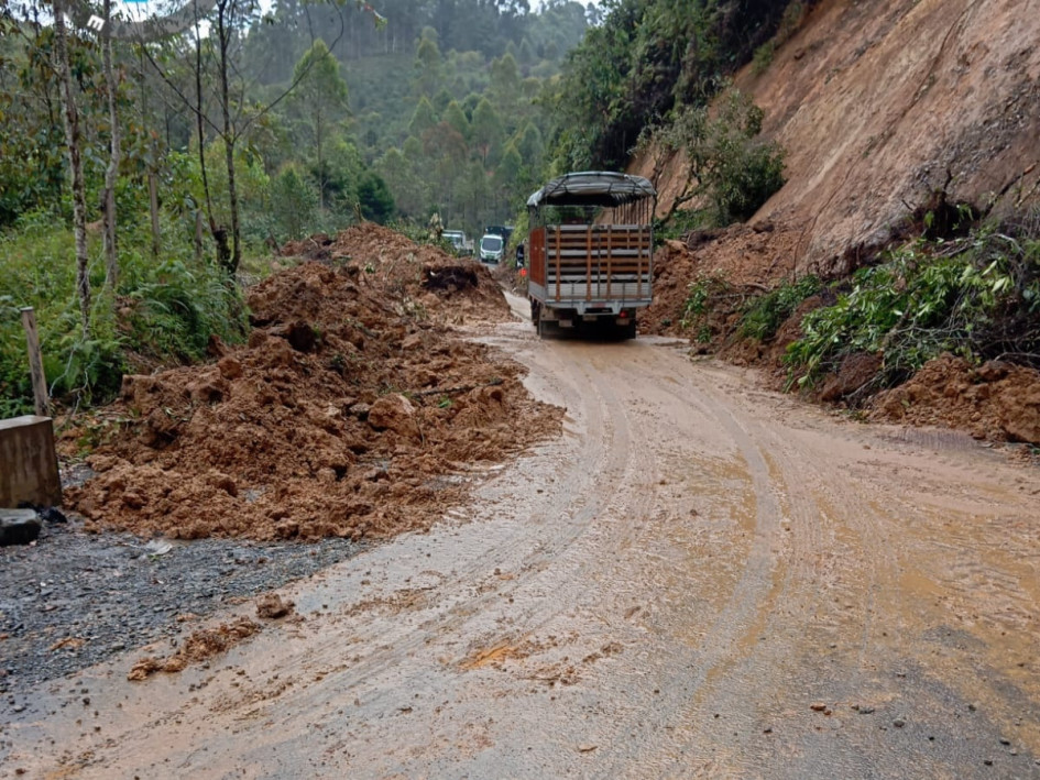 Una vía que une a Caldas y Antioquia es una anfitriona hostil para quienes buscan alternativas tras el cierre de la Troncal del Café por emergencias. Un hundimiento hace temblar casas a su alrededor cuando pasan vehículos pesados.