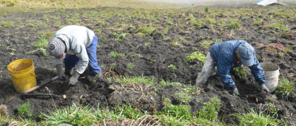 El trabajo en el campo es arduo, según quienes laboran la tierra.