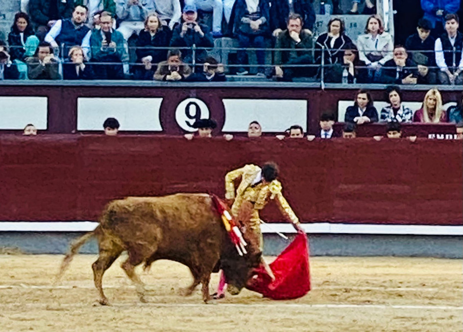 Muletazo al natural de Aarón Palacio al novillo al que le cortó oreja ayer en Madrid.
