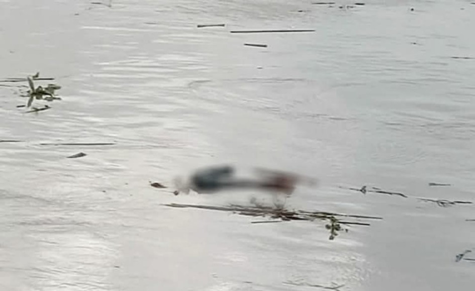 El 1 de mayo la comunidad de Caimalito y La Virginia registraron el paso de un cadáver flotando en el río Cauca. Las autoridades no lo encontraron 
