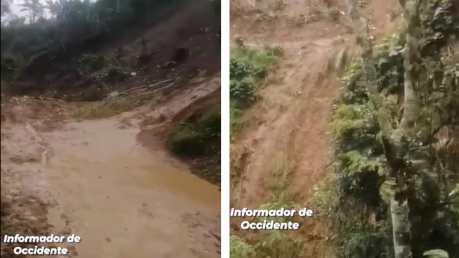 El derrumbe en una vereda del Occidente de Caldas tendrá que esperar hasta que las lluvias se vayan para ser intervenido por completo. La atención de un árbol caído está a la espera.