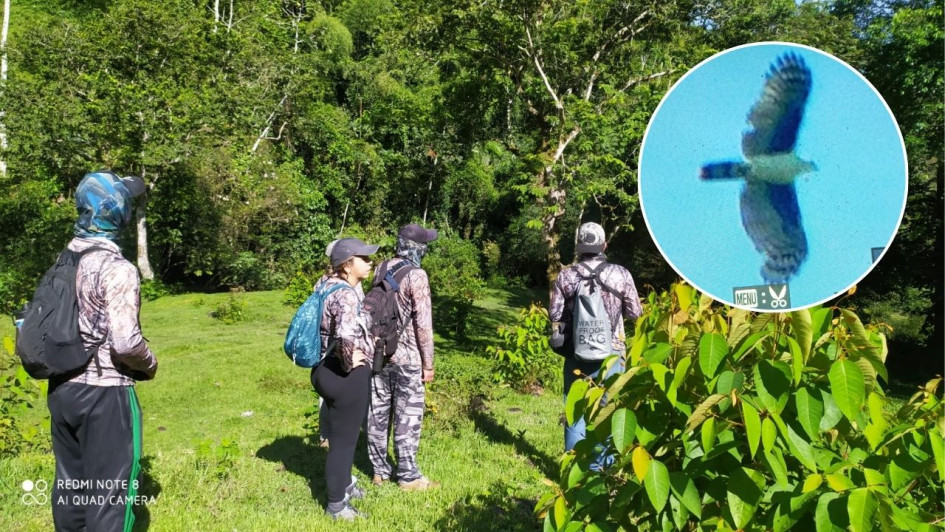 El club de aves Pueblo Nuevo, Melanerpes pulcher, participó en la jornada mundial del conteo de aves, Global Big Day el sábado (10 de mayo). 