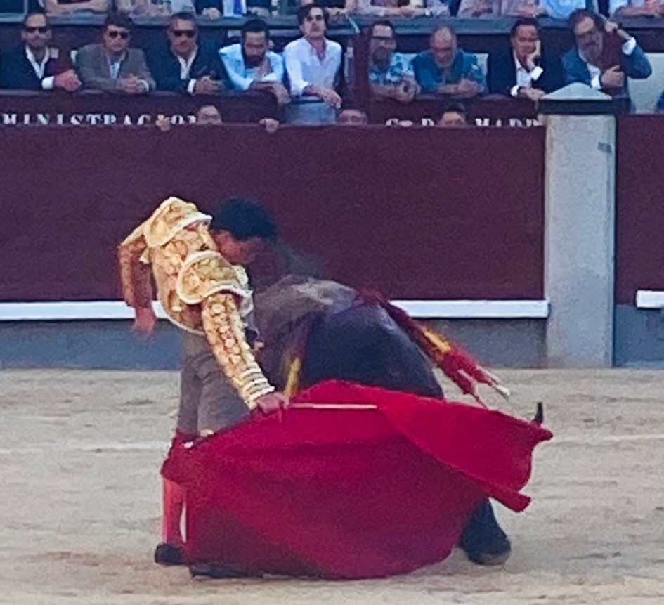 El torero colombiano Juan de Castilla en templado derechazo ante el toro de Dolores Aguirre que le hirió.