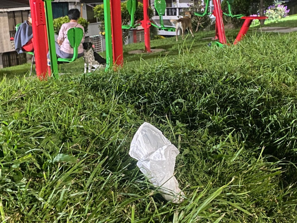 Foto | LA PATRIA  Para contrarrestar la cantidad de desechos de los perros que se encuentran en los parques, hay quienes colocan carteles solicitando a los dueños de las mascotas recoger lo que sus animales hagan.