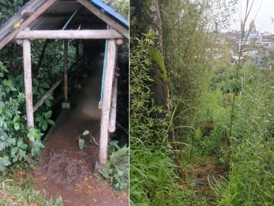La maleza ha tapado los caminos del ecoparque Los Palenques, en Samaná (Caldas).