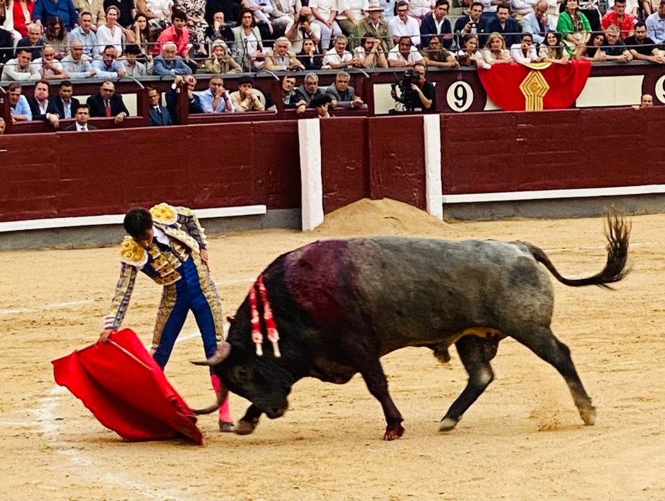Derechazo de Gómez del Pilar al buen quinto toro de la tarde, al que le cortó oreja este martes en Las Ventas de Madrid.